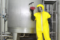 Visual Inspection Large Scale