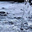 20110407_MM_cover.jpg 20110407_MM_cover.jpg
