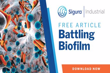 battling-biofilm