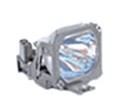 LAMP-018 LAMP-018