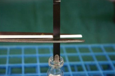 Example of culturing inoculated