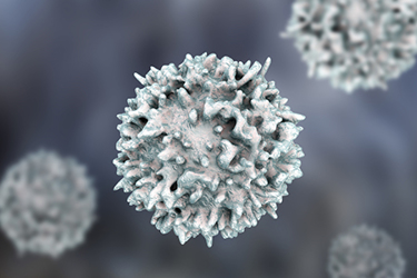 T-cell iStock-1159808506