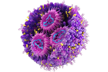 Stabilization Of RNA-Loaded Lipid Nanoparticles By Lyophilization Stabilization Of RNA-Loaded Lipid Nanoparticles By Lyophilization