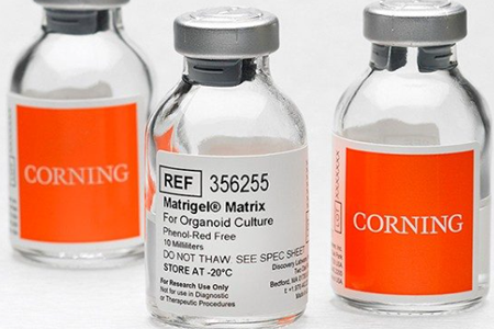 Corning Matrigel Matrix— The Original, Trusted Extracellular Matrix