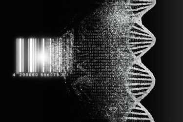 GettyImages-1477691777-DNA-barcode-monochrome