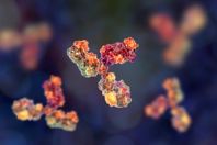 GettyImages-1133973085-Monoclonal_Antbody_Molecule