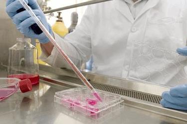 4 Steps For Successful Tech Transfer Of Gene And Cell Therapy Products