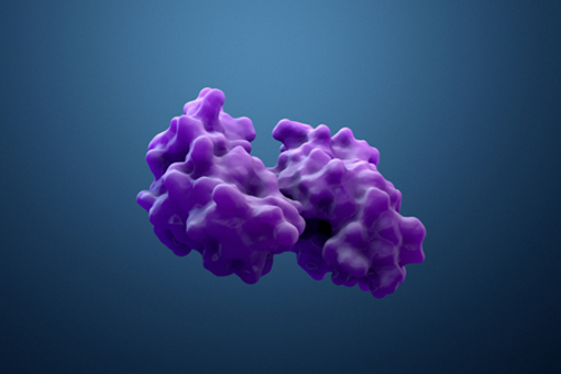 protein, enzyme-GettyImages-1138925640