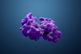 protein, enzyme-GettyImages-1138925640