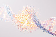 GettyImages-2067042854-DNA-strand-building-3d