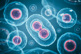 GettyImages-1871660065-Embryonic-stem-cell GettyImages-1871660065-Embryonic-stem-cell