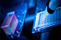 GettyImages-1140492414-bioluminescience-assay-bioluminescent-pipette-glow