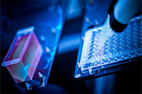 GettyImages-1140492414-bioluminescience-assay-bioluminescent-pipette-glow