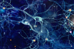 Getty Images-1053434168_neurons