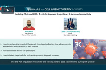 Isolating CD4  CD8 T Cells For Improved Drug Efficacy, Productivity