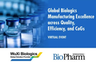 Global Manufacturing Excellenence