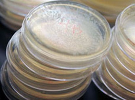 Research-206-18-2012