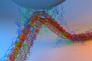 MIT-Underwater-Adhesives-01_0 MIT-Underwater-Adhesives-01_0