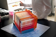 Corning - hyperstack