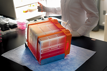 Expansion Of Human Bone Marrow-Derived MSCs With Corning® MSCulture Max ...