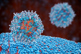 Lipid Nanoparticles GettyImages-1437855772 Lipid Nanoparticles GettyImages-1437855772