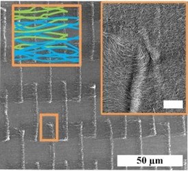 Wonder Material? Novel Nanotube Structure Strengthens Thin Films For Flexible Electronics