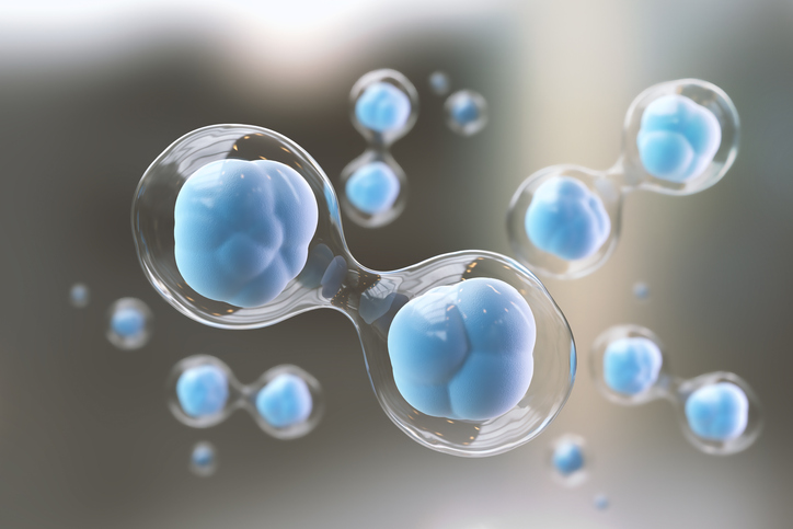 The Placental Stem Cell Advantage - Vimarsana News