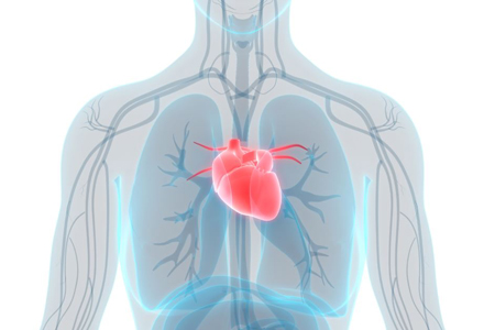 AstraZeneca's Focus on Cardiovascular Renal and Metabolic Diseases