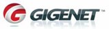 gI_78273_gigenet-logo-white