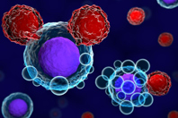 car-t cell therapy