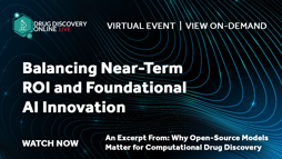 Balancing Near Term ROI and Foundational AI Innovation