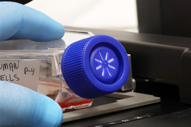 GettyImages-1590576166 cells, research, lab, assay GettyImages-1590576166 cells, research, lab, assay