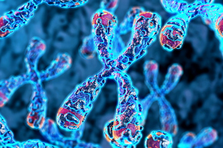 Automating Mass Spectrometry Analysis To Accelerate Oligonucleotide Drug Development