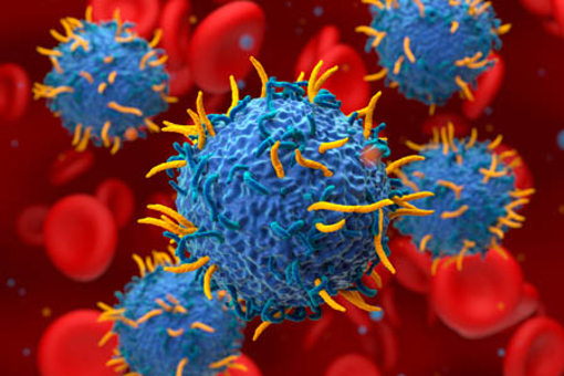 CAR T cells-GettyImages-2243155532