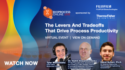 The Levers And Tradeoffs That Drive Process Productivity
