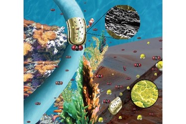 1920_graphene-laminated-pipes