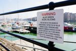 GettyImages-1751685698 algal bloom sign