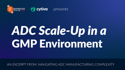 24_07_BPOL_1920x1080_Seg07