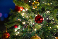 Dreaming Of A Green Christmas: Tips For A Longer-Lasting Christmas Tree Holidays, christmas-GettyImages-1411739313