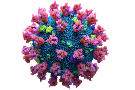 How To Mitigate The Risks Posed By "High‐Risk" Host Cell Proteins - Vimarsana News