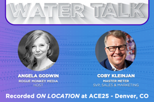 Solving Real-World Utility Challenges 25_ACE25_watertalk_MASTER-METER