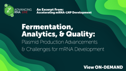 25_03_ARNA_1280x720_Seg01