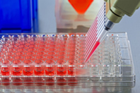 Pipetting Samples Into Well Plate GettyImages-532258611