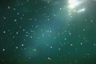 GettyImages-1175409485_450_300 (002)