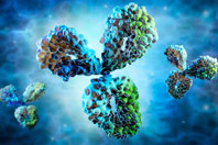 iStock-1180568371-antibody-3D