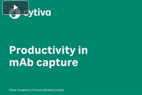 Productivity In mAb Capture