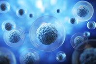 Functional Characterization Of 3D Assembled Neurospheres GettyImages-1626470215-cluster-cells-stem-cells-blue