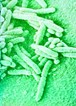 Biological Products & Chemicals Biological Products & Chemicals