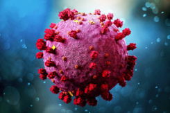 Covid-19, coronavirus-GettyImages-1300948381