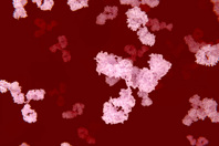 Protein Capture Devices For Antibody Purification Antibodies in the blood GettyImages-491763432